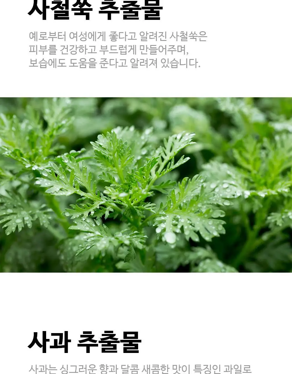 [폼타입/저자극]닥터올가 허브 페미닌 시크릿 클렌저 여성 청결제 150ml 상세페이지 7